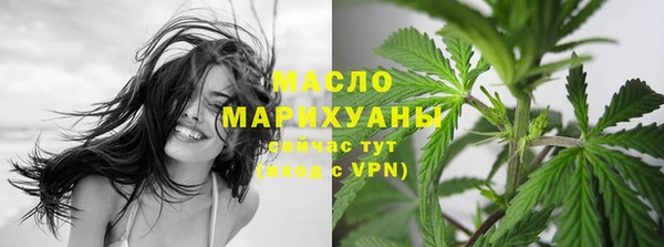 МДПВ Пересвет