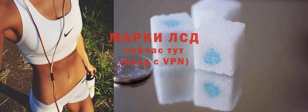 сатива Алзамай
