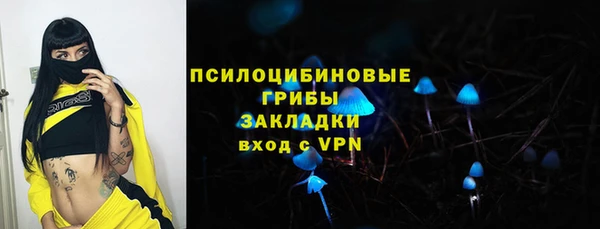 сатива Алзамай