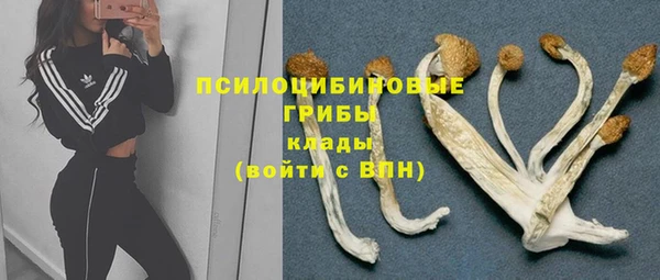 а пвп мука Алексеевка